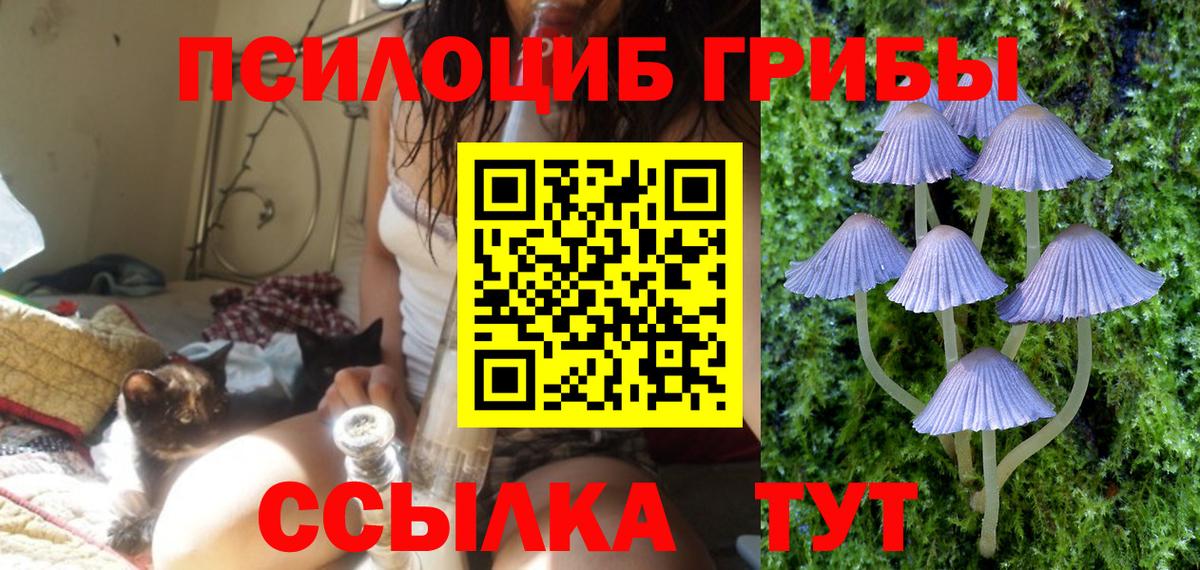 что такое   Галлюциногенные грибы прущие грибы  Вход с VPN  Энгельс 