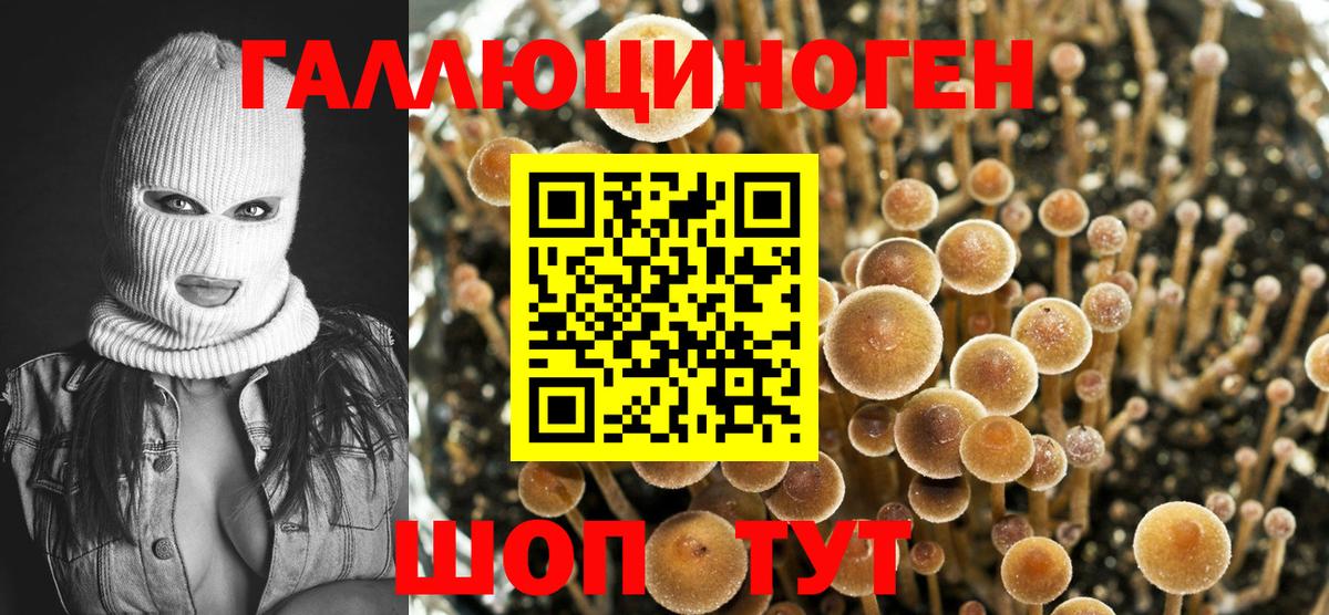 Псилоцибиновые грибы ЛСД Энгельс
